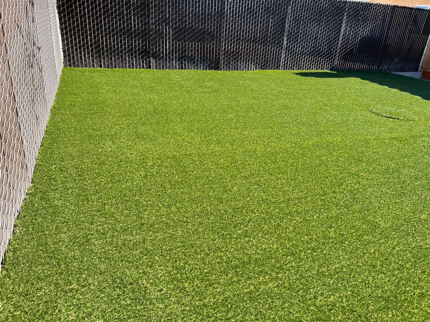Wide angle of large backyard turf installation